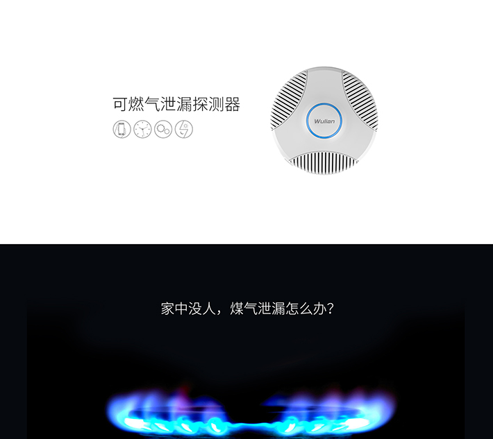 WL-可燃氣泄漏探測器_01 WL-可燃氣泄漏探測器_01