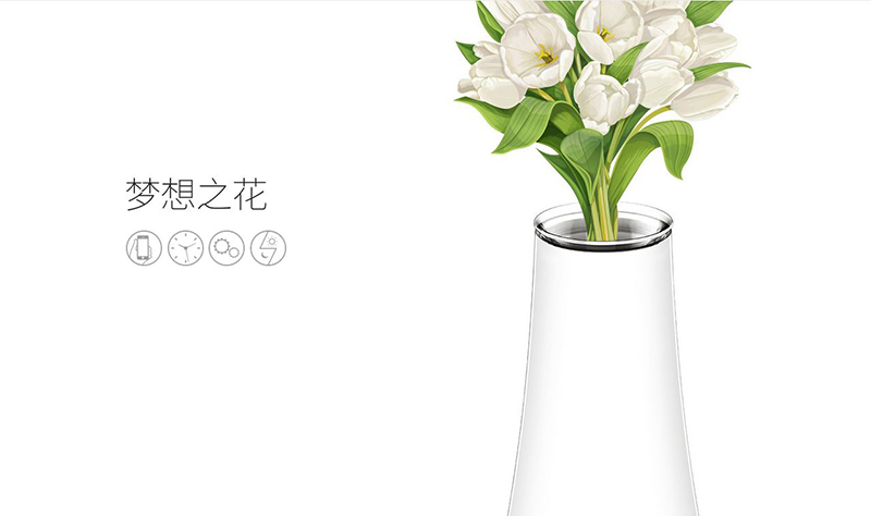 夢(mèng)想之花1