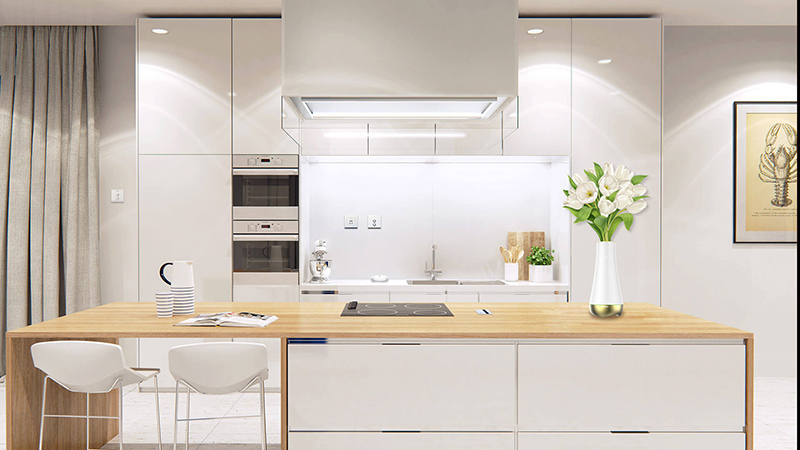 夢(mèng)想之花3