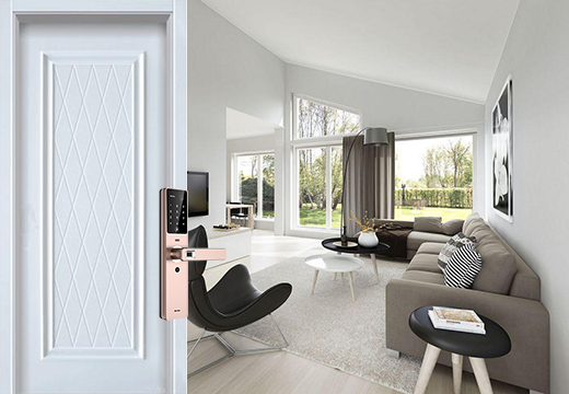 門禁智能安防 門禁智能安防